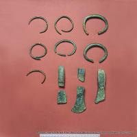 The Pinhoe hoard of Bronze Age metalwork