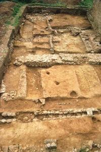 Medieval floor tiles
