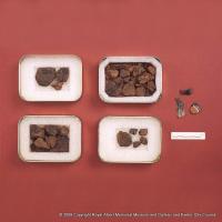 Bronze Age Burial