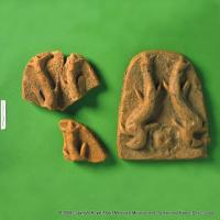 Fragments of antefixes