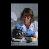 Iron Age pottery undergoing reconstruction at Exeter City Museums