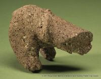 Animal sculpture