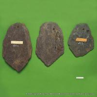 Slates from the Topsham bakehouse