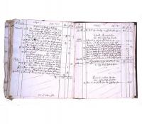 The financial diary of John Hayne